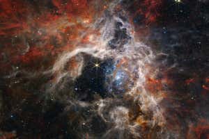 In this mosaic image stretching 340 light-years across, Webb?s Near-Infrared Camera (NIRCam) displays the Tarantula Nebula star-forming region in a new light, including tens of thousands of never-before-seen young stars that were previously shrouded in cosmic dust. The most active region appears to sparkle with massive young stars, appearing pale blue. Scattered among them are still-embedded stars, appearing red, yet to emerge from the dusty cocoon of the nebula. NIRCam is able to detect these dust-enshrouded stars thanks to its unprecedented resolution at near-infrared wavelengths.